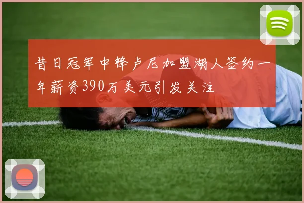 昔日冠军中锋卢尼加盟湖人签约一年薪资390万美元引发关注